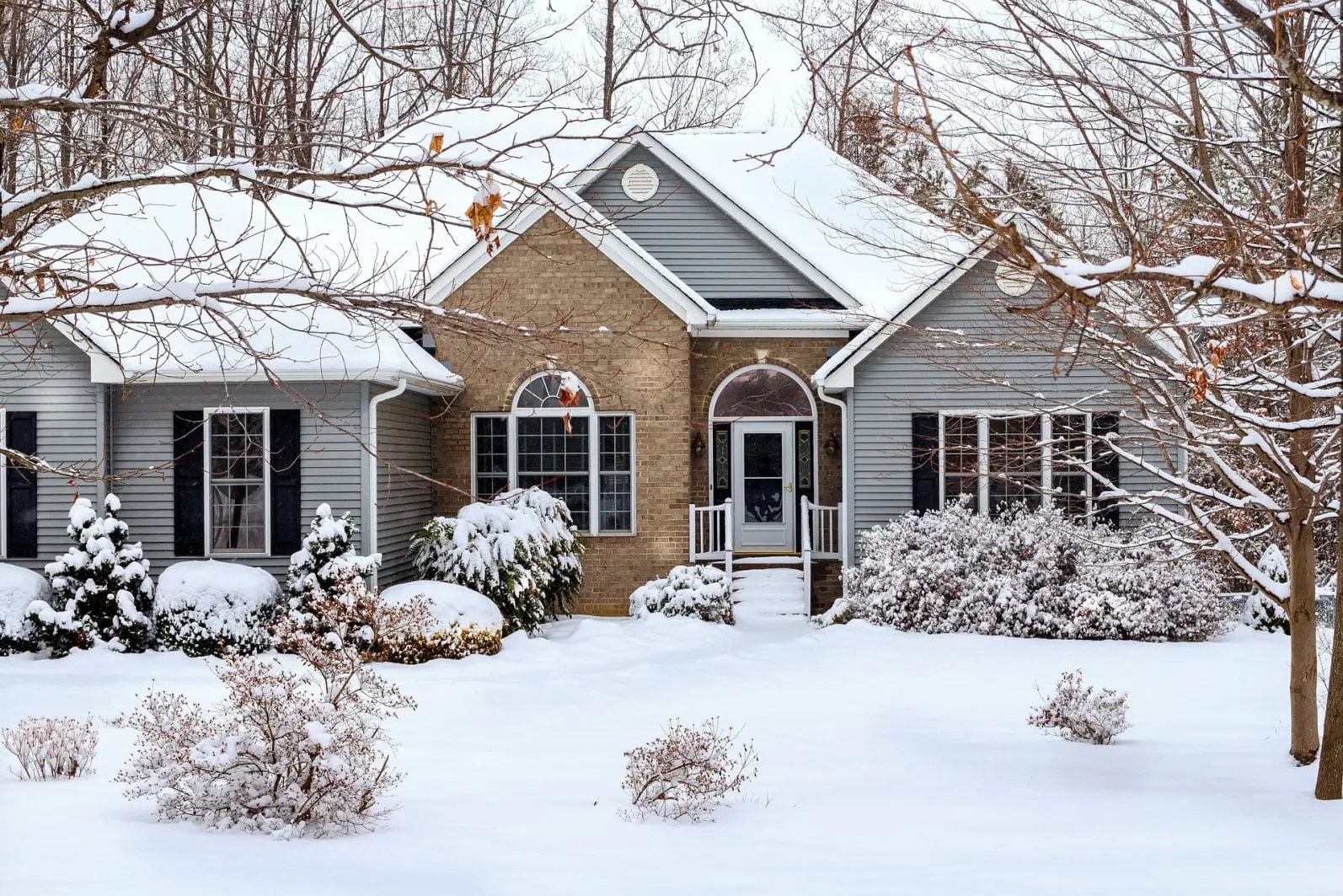 Pro-Tect Roofing