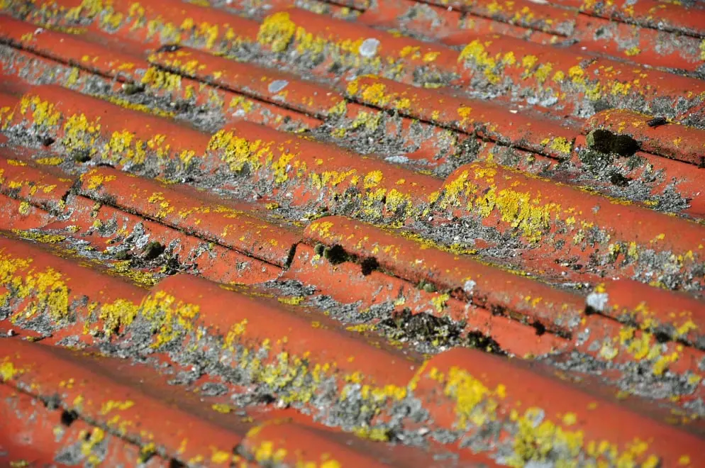 Pro-Tect Roofing